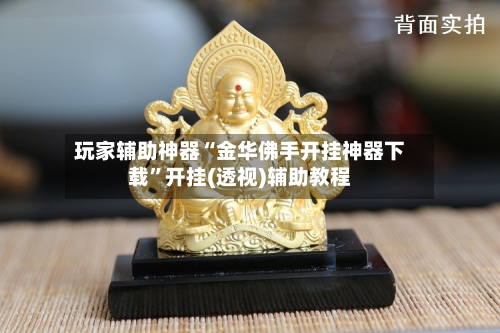 玩家辅助神器“金华佛手开挂神器下载”开挂(透视)辅助教程-第2张图片