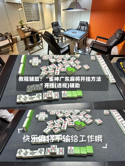 教程辅助！“雀神广东麻将开挂方法”开挂(透视)辅助-第3张图片
