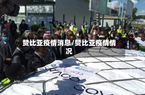赞比亚疫情消息/赞比亚疫情情况-第2张图片