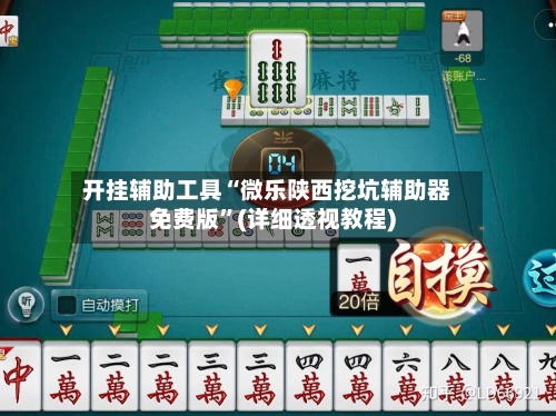 开挂辅助工具“微乐陕西挖坑辅助器免费版”(详细透视教程)-第1张图片