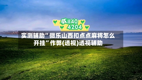实测辅助”微乐山西扣点点麻将怎么开挂”作弊(透视)透视辅助-第3张图片