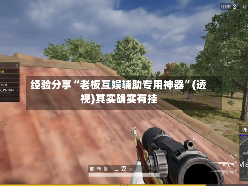 经验分享“老板互娱辅助专用神器”(透视)其实确实有挂-第1张图片