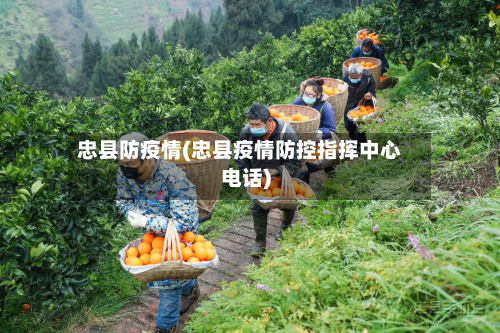 忠县防疫情(忠县疫情防控指挥中心电话)-第2张图片
