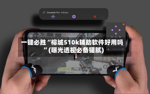 一键必胜“榕城510k辅助软件好用吗”(曝光透视必备猫腻)-第2张图片