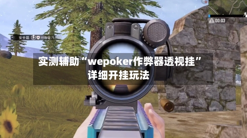 实测辅助“wepoker作弊器透视挂”详细开挂玩法-第1张图片