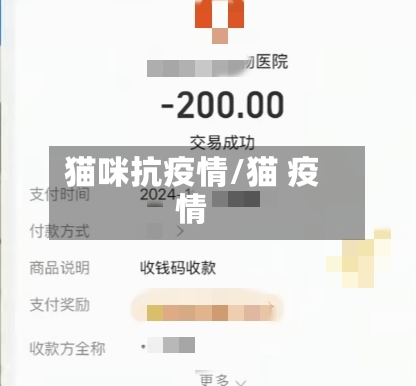 猫咪抗疫情/猫 疫情-第3张图片