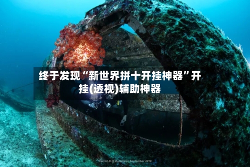 终于发现“新世界拼十开挂神器	”开挂(透视)辅助神器-第1张图片