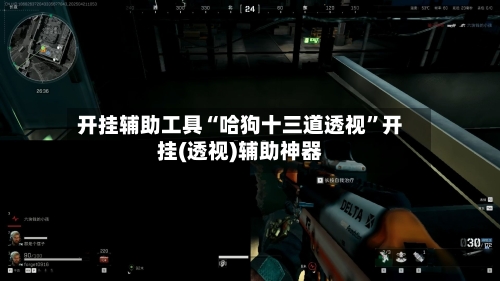 开挂辅助工具“哈狗十三道透视”开挂(透视)辅助神器-第2张图片