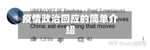 疫情政治回应的简单介绍-第1张图片