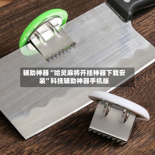 辅助神器“哈灵麻将开挂神器下载安装”科技辅助神器手机版-第1张图片