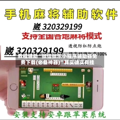教程辅助“微信微乐小程序辅助器免费下载(必备神器)”其实确实有挂-第1张图片