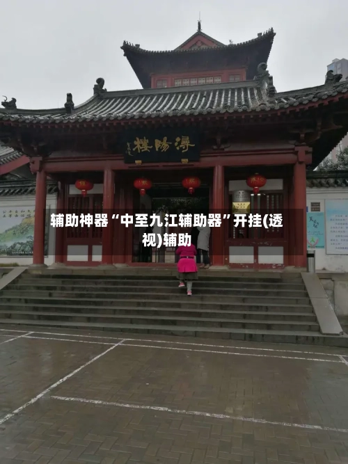 辅助神器“中至九江辅助器	”开挂(透视)辅助-第2张图片