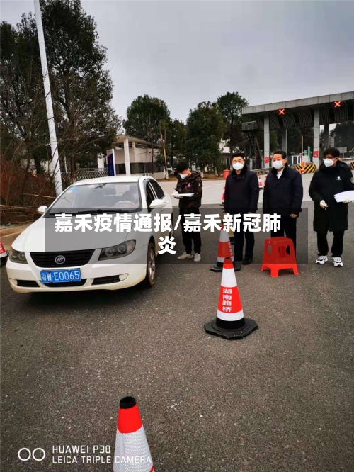 嘉禾疫情通报/嘉禾新冠肺炎-第2张图片