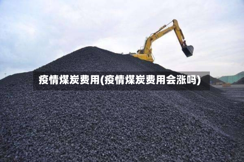 疫情煤炭费用(疫情煤炭费用会涨吗)-第2张图片