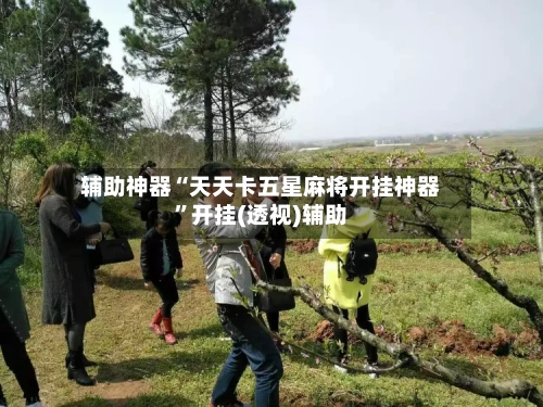 辅助神器“天天卡五星麻将开挂神器”开挂(透视)辅助-第1张图片