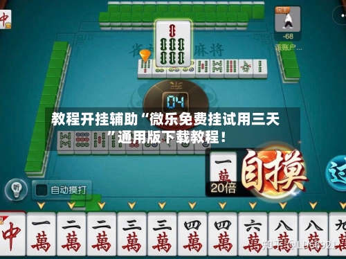 教程开挂辅助“微乐免费挂试用三天”通用版下载教程！-第3张图片