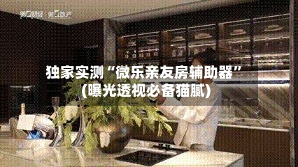 独家实测“微乐亲友房辅助器”(曝光透视必备猫腻)-第2张图片