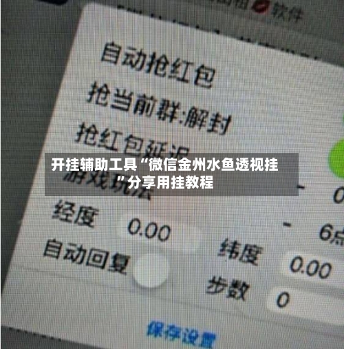 开挂辅助工具“微信金州水鱼透视挂”分享用挂教程-第3张图片