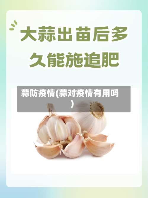 蒜防疫情(蒜对疫情有用吗)-第1张图片