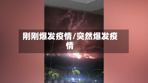 刚刚爆发疫情/突然爆发疫情-第3张图片
