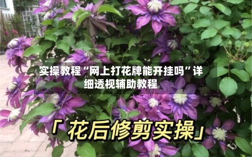 实操教程“网上打花牌能开挂吗”详细透视辅助教程-第1张图片