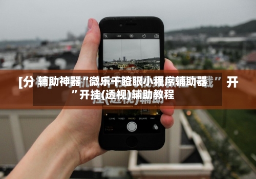 辅助神器“微乐干瞪眼小程序辅助器	”开挂(透视)辅助教程-第2张图片