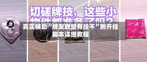 真实辅助“牌友联盟有挂不”附开挂脚本详细教程-第3张图片