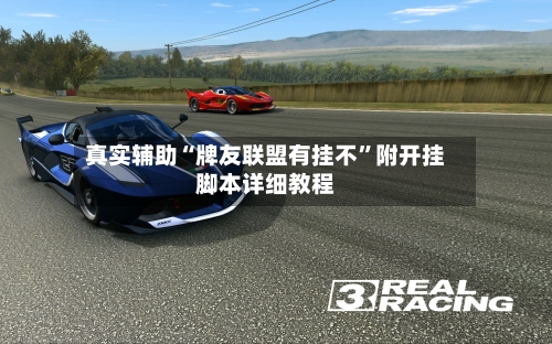 真实辅助“牌友联盟有挂不”附开挂脚本详细教程-第2张图片