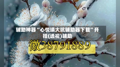 辅助神器“心悦填大坑辅助器下载”开挂(透视)辅助-第1张图片