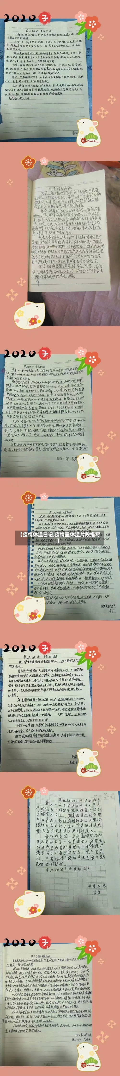 【疫情体温日记,疫情量体温片段描写】-第2张图片