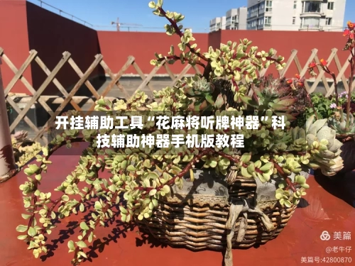 开挂辅助工具“花麻将听牌神器	”科技辅助神器手机版教程-第2张图片