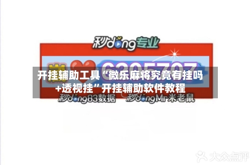 开挂辅助工具“微乐麻将究竟有挂吗+透视挂”开挂辅助软件教程-第1张图片