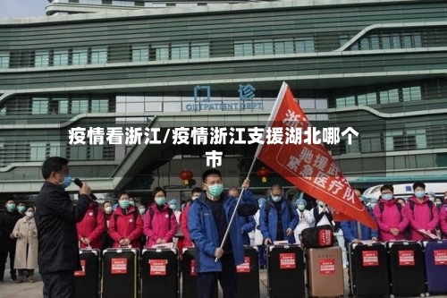疫情看浙江/疫情浙江支援湖北哪个市-第1张图片