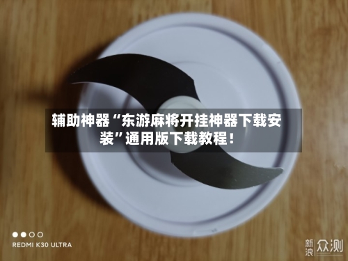 辅助神器“东游麻将开挂神器下载安装”通用版下载教程！-第1张图片