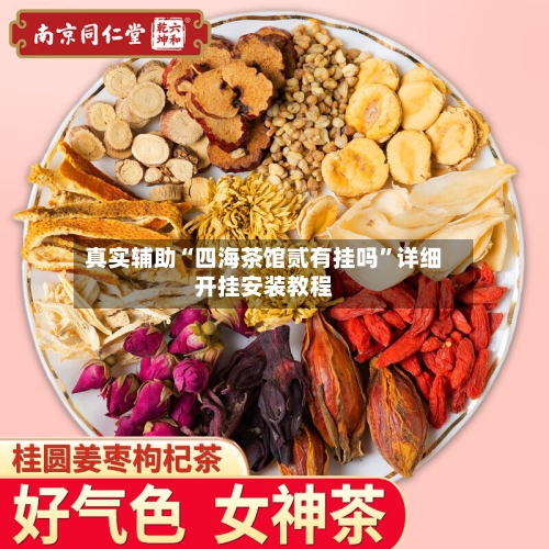 真实辅助“四海茶馆贰有挂吗	”详细开挂安装教程-第1张图片