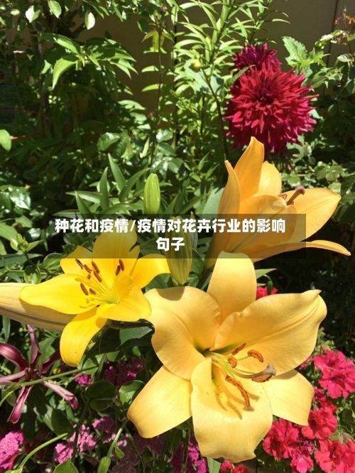 种花和疫情/疫情对花卉行业的影响句子-第1张图片