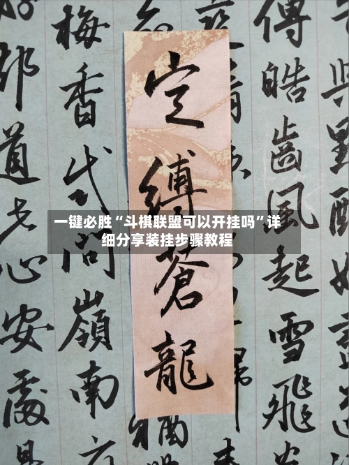 一键必胜“斗棋联盟可以开挂吗”详细分享装挂步骤教程-第3张图片
