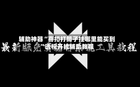辅助神器“喜扣打筒子挂哪里能买到	”透视开挂辅助教程-第1张图片