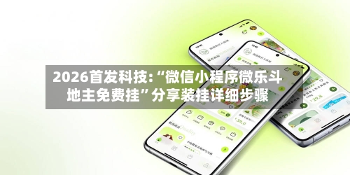 2026首发科技:“微信小程序微乐斗地主免费挂	”分享装挂详细步骤-第2张图片