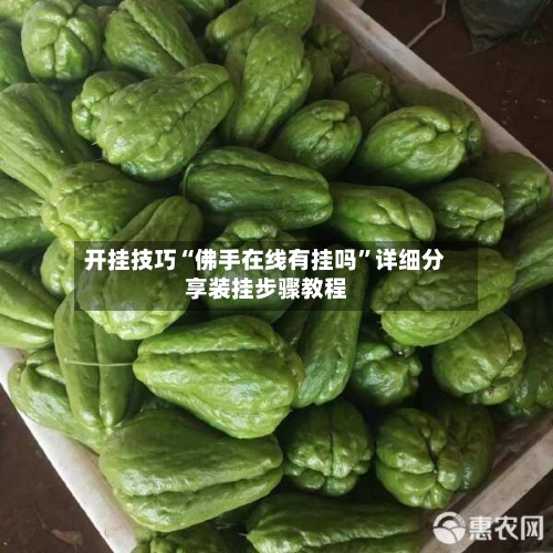 开挂技巧“佛手在线有挂吗	”详细分享装挂步骤教程-第3张图片