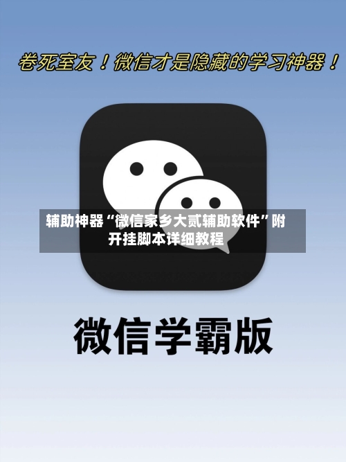 辅助神器“微信家乡大贰辅助软件”附开挂脚本详细教程-第1张图片