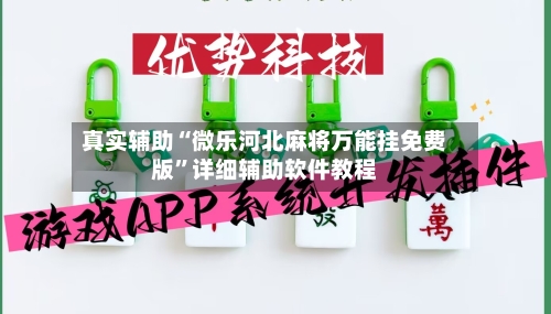 真实辅助“微乐河北麻将万能挂免费版”详细辅助软件教程-第2张图片