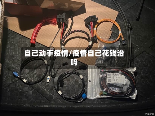 自己动手疫情/疫情自己花钱治吗-第2张图片