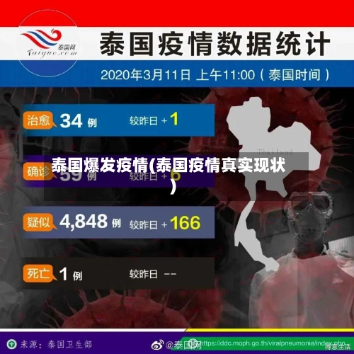 泰国爆发疫情(泰国疫情真实现状)-第2张图片