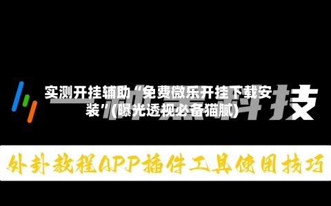 实测开挂辅助“免费微乐开挂下载安装”(曝光透视必备猫腻)-第3张图片