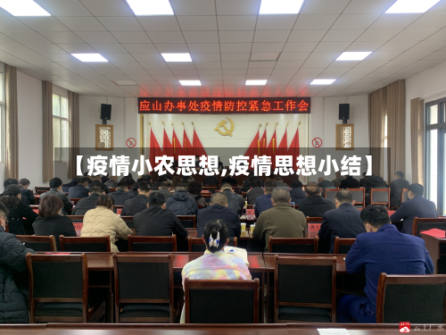 【疫情小农思想,疫情思想小结】-第1张图片