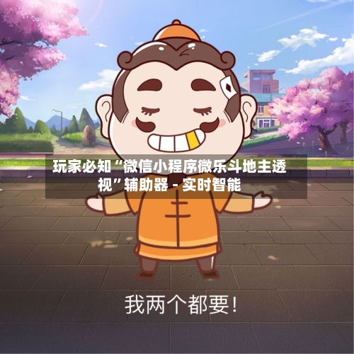玩家必知“微信小程序微乐斗地主透视”辅助器 - 实时智能-第3张图片