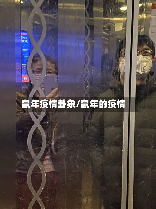 鼠年疫情卦象/鼠年的疫情-第3张图片