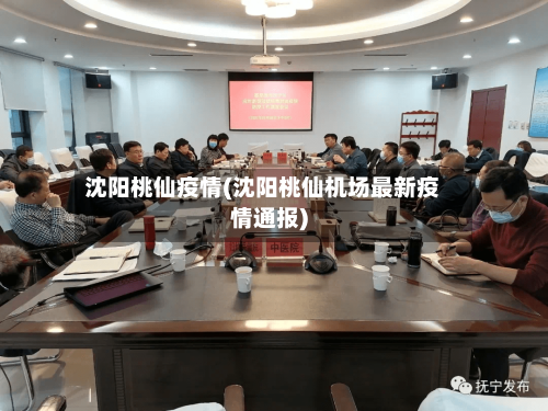 沈阳桃仙疫情(沈阳桃仙机场最新疫情通报)-第3张图片