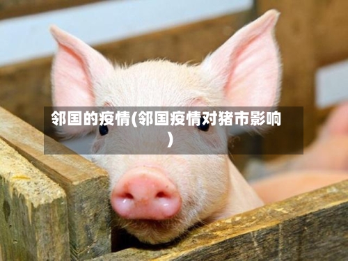 邻国的疫情(邻国疫情对猪市影响)-第2张图片